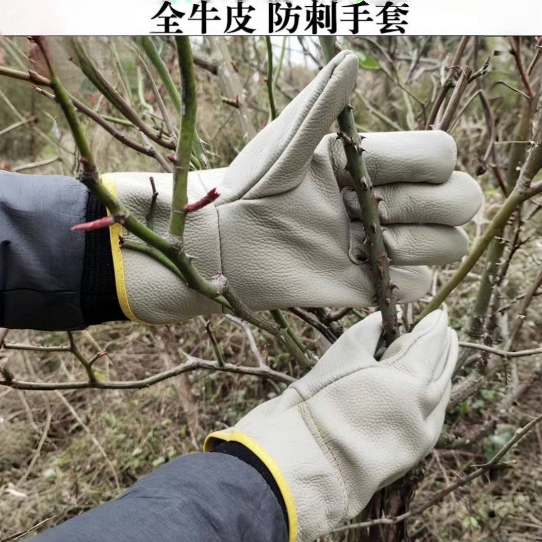 园艺手套园林修剪月季玫瑰花椒摘板栗子牛皮防刺针扎铁削护手电焊