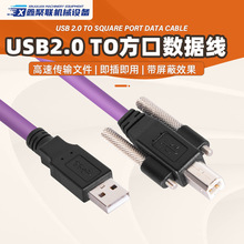 USB2.0ToBiICδӡC͏