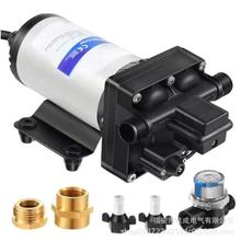 厂家直销 220v电动隔膜泵 小型增压泵