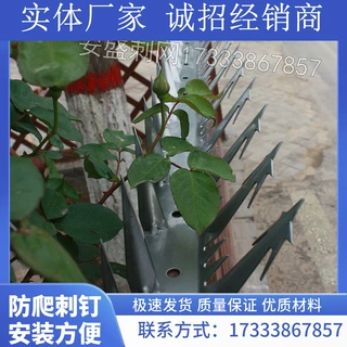 加工定异型防爬刺钉 厚度 颜色 长度 重量 定烤漆防爬刺