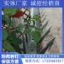 颜色厚度异型重量钉