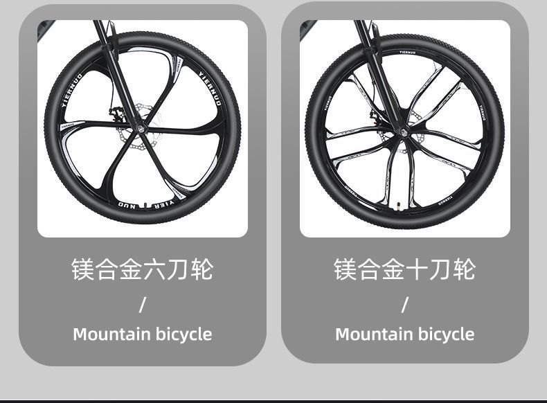 a0560041-5240-4d84-a195-57a4c2ab102f.jpe