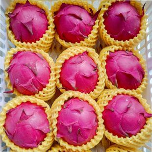 �����lһ������t���ی����lˮ�����rҎ��һ̖�羳�𶼻��������