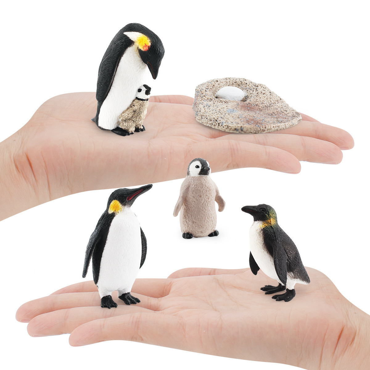 Modelo de ciclo de crecimiento de pingüino de simulación transfronteriza volver Pingüino Emperador Pingüino proceso de crecimiento adornos de escritorio estáticos