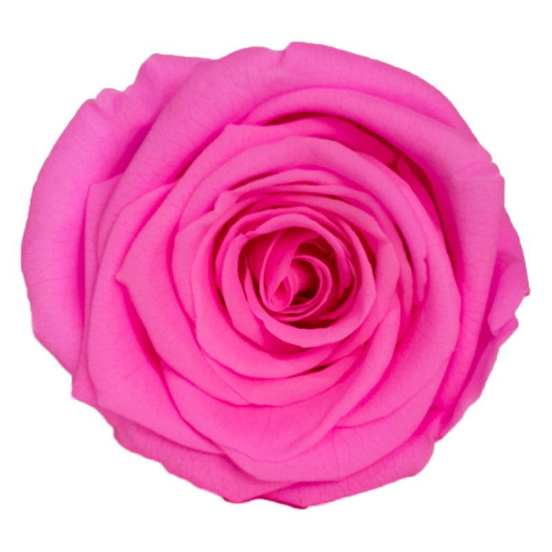 Flores Eternas de Yunnan, Grado B, 3-4 cm, 10 Piezas, Ramo Hecho a Mano al por Mayor, Flores Secas, Materiales para Manualidades, Cabezas de Rosa Eterna