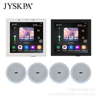 PW4420T语音声控背景音乐主机系统智能家居中控屏吸顶音响播放器