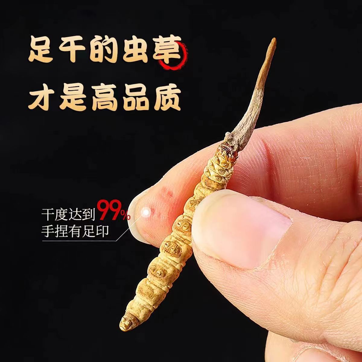 Cordyceps Sinensis Dong Chong Xia Cao Wild Caterpillar Fungus Dried Whole Pieces Nagqu Tibet Gift Box key features