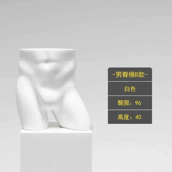 Male hip model B (white)