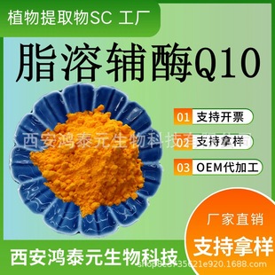 辅酶Q10 98% 水溶脂溶性辅酶Q10 泛醌10 化妆品级 辅酶Q10工厂直-阿里巴巴