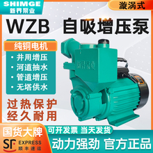 ½o̫ܟˮuʽ220VԁˮܵӉóˮC