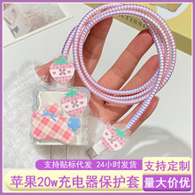 �m���i�O��20w/18W��������o��Phone17���������o���p�@�K16por