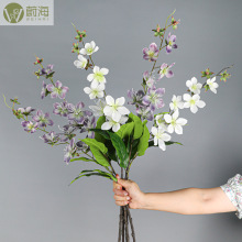 ����Ī�δ��z�����Ļ���ូٻ��Ҿ�ܛ�b�쾰�b��߽�z����