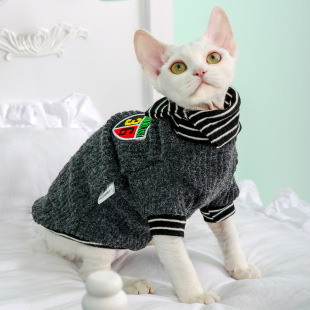 MOORSPET cat clothes handsome male cat ins pet cat two-legged clothes British short blue cat clothes spring and autumn