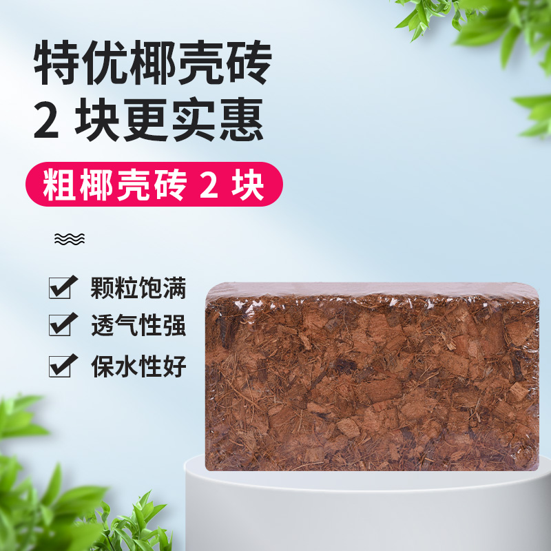 【2개 더 저렴함】두꺼운 코코넛 껍질 벽돌 2개
