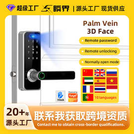 跨境免开孔指纹密码锁涂鸦WiFi指纹锁掌静脉3D人脸识别单舌门锁