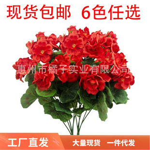 �F؛���R�dƴ���羳����Ļ����ÿ��tɫ���滨���S���l