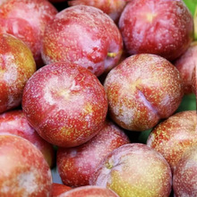 ���r���A�����X�����A��F؛�p�A���������r�ЋD���l����t������