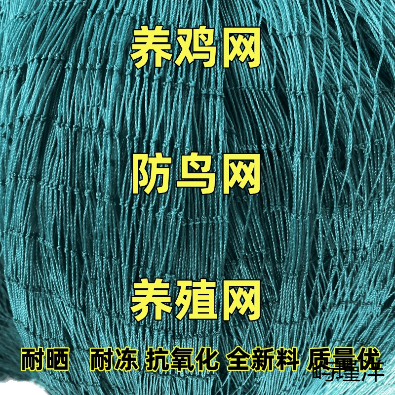 가금류 사육용 그물 나일론 그물 닭 파리 방지 그물 새 방지 닭 상단 그물 울타리 등반 그물 격리 그물 도매