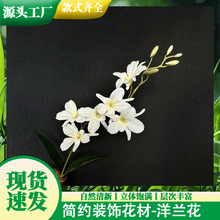 ���滨С���m�f���m���m��Y�þƵ���Ô[���bzӰ�����T�겼��