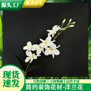 ���滨С���m�f���m���m��Y�þƵ���Ô[���bzӰ�����T�겼��