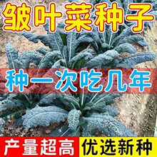 u~¸{NӴȫ~mɳ˷NԭbNӴȫll