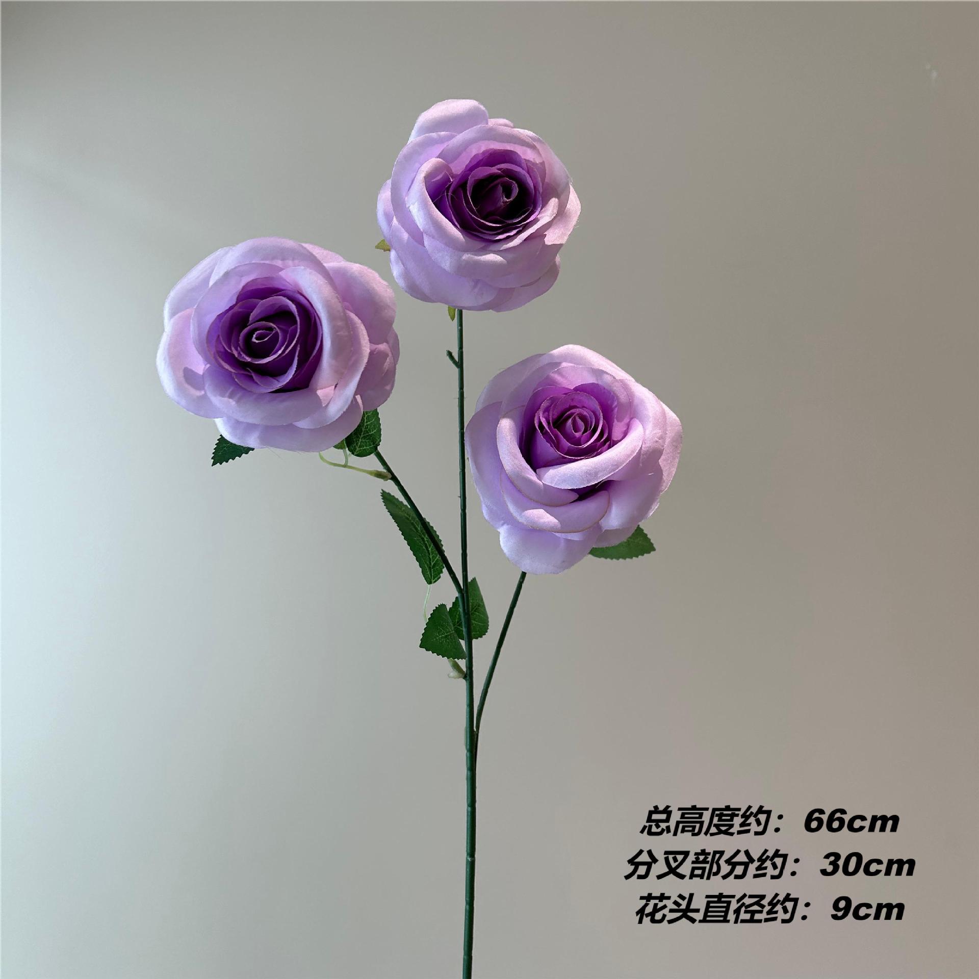 MZ 불가리안 로즈