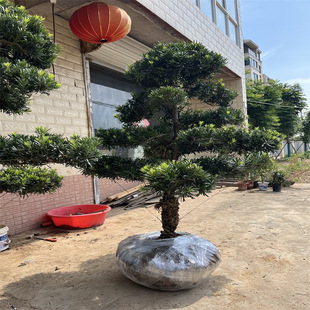 �_�h�ɘ�����ȸ�����~ӭ�����Ϙ䘶�e��ͥԺ�����辰���ʹ��N