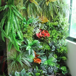 ����ֲ��~�ӼٲݾGֲ������ϵ�䁲͏d�����T�^�����OӋ�b�