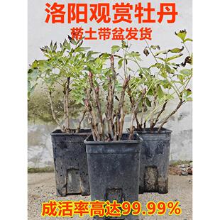 ����ĵ���������Ϙ�����������ڻ��܎�������șĵ����������ĵ��