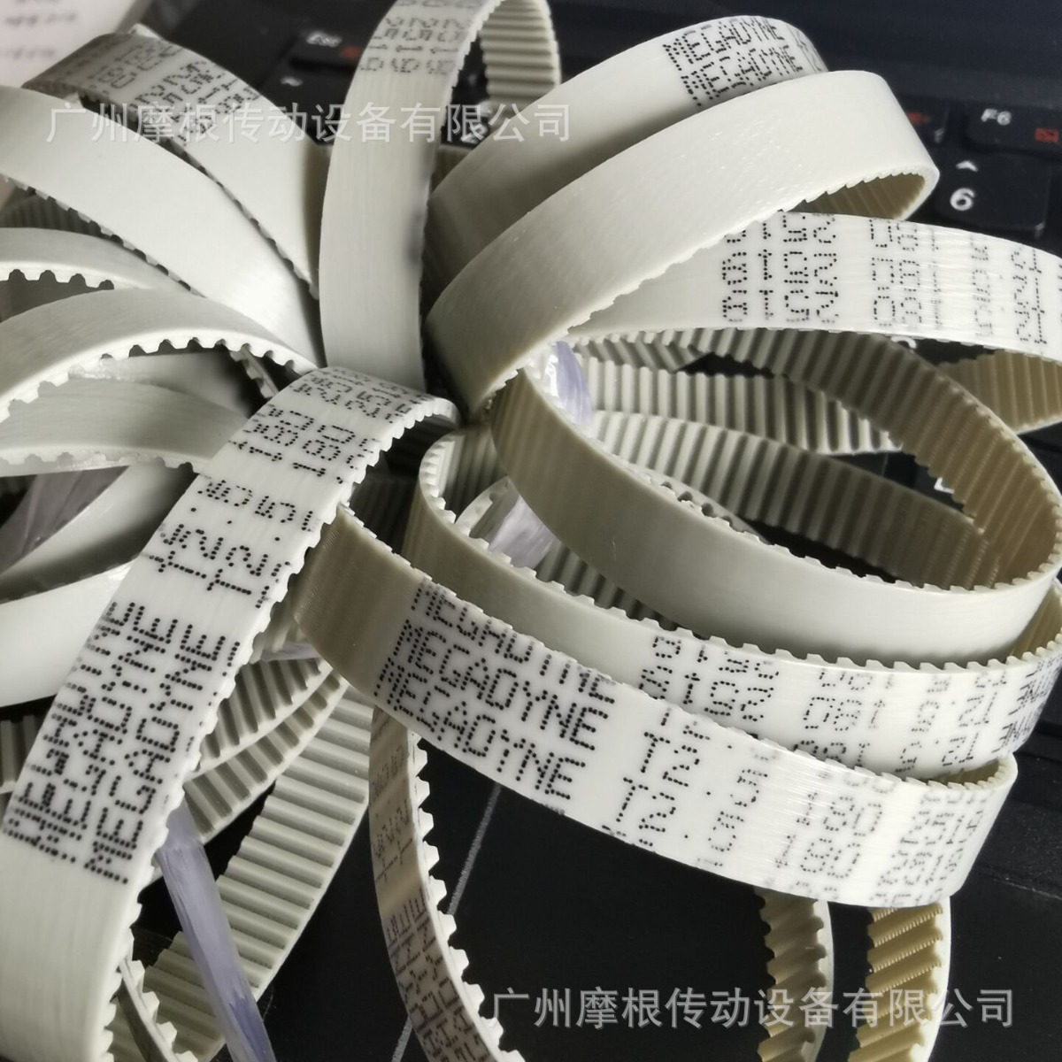 麦高迪T2.5-230无缝带代理商意大利MEGADYE聚氨酯PU带节能耐磨