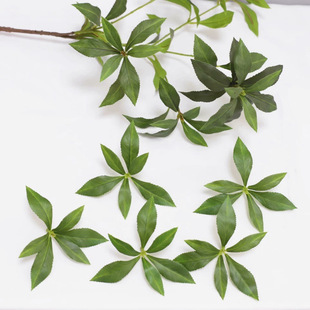 ����ֲ���R��ľ�~����Gֲ���̈@���쾰�Ҿ��b����R��ľ