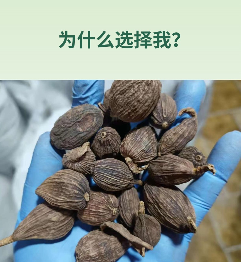 Dried Caoguo Fruit Amomum tsaoko Whole Spice for Sichuan Hot Pot and Braised Dishes 500g key features