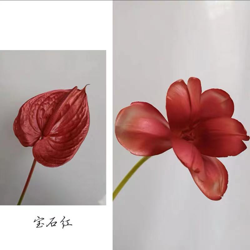 Internet celebridad ciruela negro rosa púrpura flores autopintadas agente de pulverización de color tinte floral spray colorante