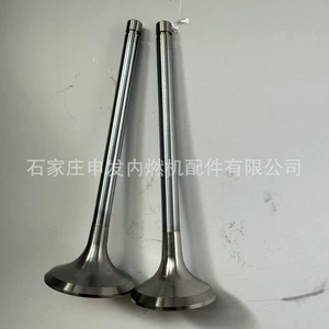 In stock: Deutz 1011 intake valve 4280404