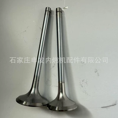 In stock: Deutz 1011 intake valve 4280404