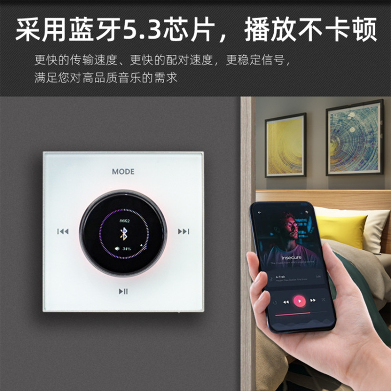 Intelligent Background Music Host System Embedded Ceiling Speaker Amplifier Set Combination