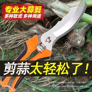 Garlic Scissors for Cutting Garlic, Garlic Scissors, Garlic Scissors, Garlic Scissors, Onion Scissors, Electric Round Cutting Wholesale