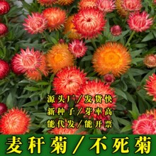 �S�����l�����ջ��N�������ջ��ܷN��Ϟ����޻�մ��������ǧ���