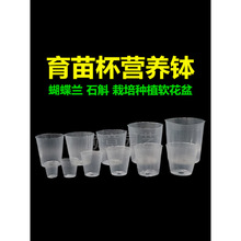 �m�����籭͸��ܛ���ϠI�B�������m������ʯ������ֲ��Nֲ��