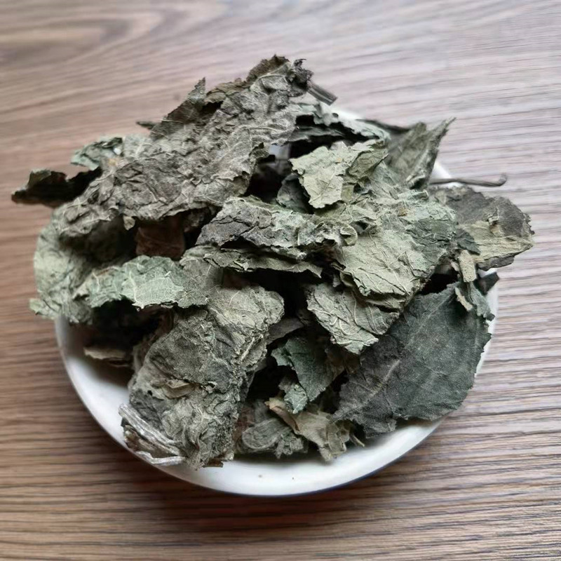 Dried Paper Mulberry Leaves Chu Tao Ye Bulk Herbal Tea Leaves Traditional TCM Botanical quality and texture