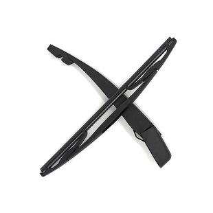 ����������m�ø������� ����˹����˹ �����A������̽�U�Һ���ˢ