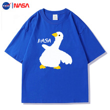 NASATļŮ¿ɳAI俨ͨСD