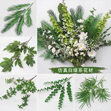 10֦�׾Gϵ��ɭϵ�Gֲ�~�Ļ�c���Ĳ廨�b��������ٻ����~