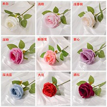 ����õ�廨��֧��ٻ����컨����Ҿ�����װ�λ���������ר�û�