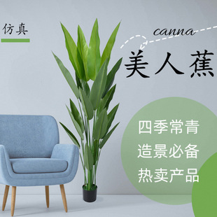 BGֲ˽ֲ辰͏d҃ȼҾb٘