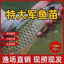 ����܊�~�絭ˮʳ���^�p�~܊�~�~����~���������~����w�~����~