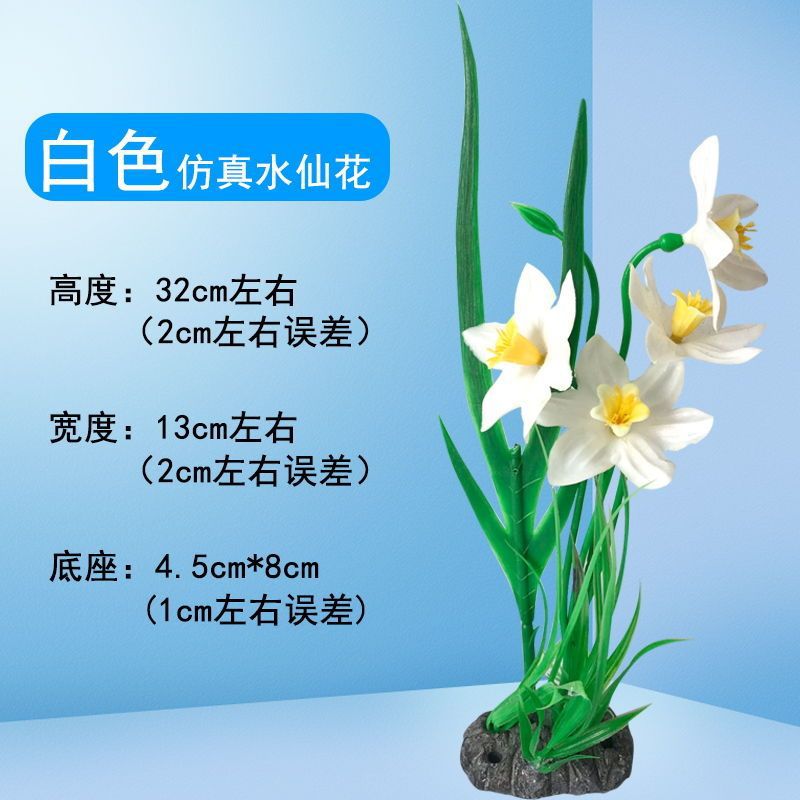 수선화 화이트 DO1