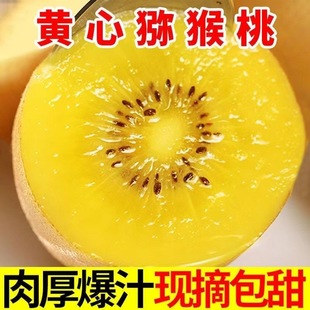 �Ĵ��S�īJ�������r�殐��30ö�b�����Fժ���ڏ����Ҵ���S�İ��]