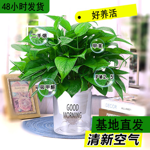 ˮ��G�}�҃�ֲ����B�Gֲ�G�j�ļ������·����Ã����՚�������ȩ