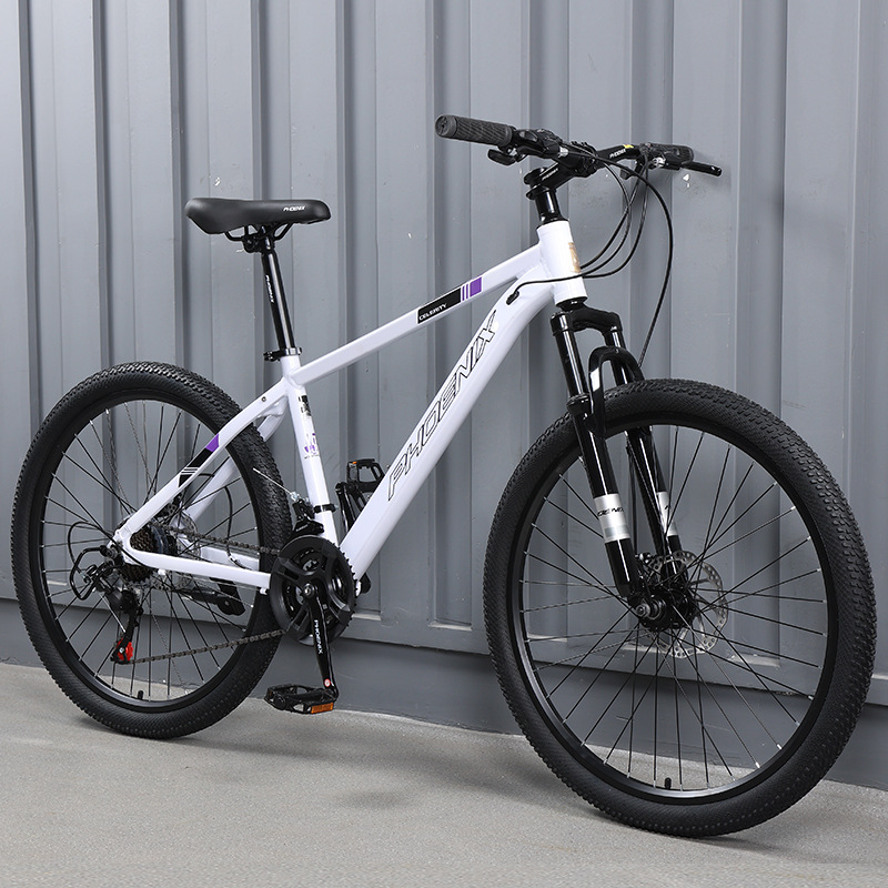 Aluminum frame spoke wheel-white and purple-24 inches-24 speed